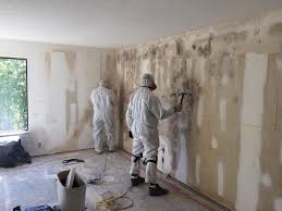 Why You Should Choose Our Mold Remediation Services in Fountain Hills, AZ